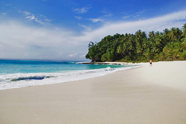 Simeulue Beach with waves en palm tress - Relaxed Surf vacation